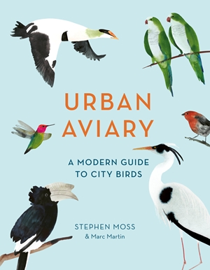 Urban Aviary By Stephen Moss And Marc Martin