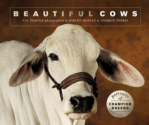 Beautiful Cows Portraits of champion breeds