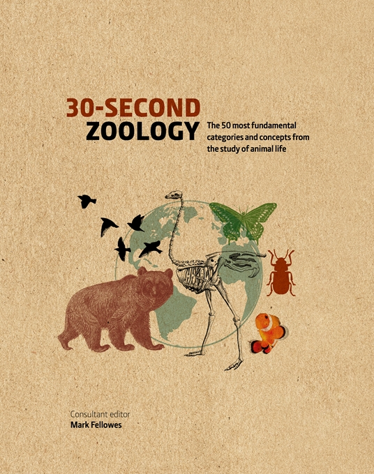 30-Second Zoology