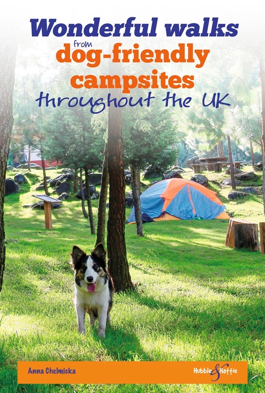 Wonderful Walks from Dog-Friendly Campsites Throughout the UK