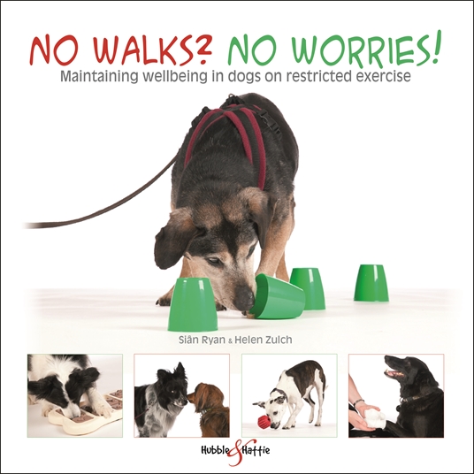 No walks? No worries!