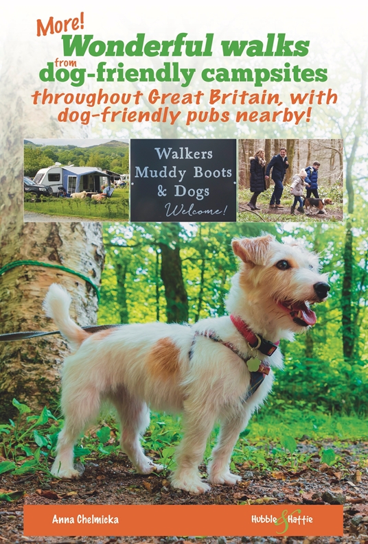 More wonderful walks from dog-friendly campsites throughout the UK ...