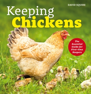 Keeping Chickens The Essential Guide for First-time Keepers