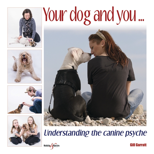 Your dog and you...