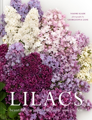 Lilacs Beautiful varieties for home and garden